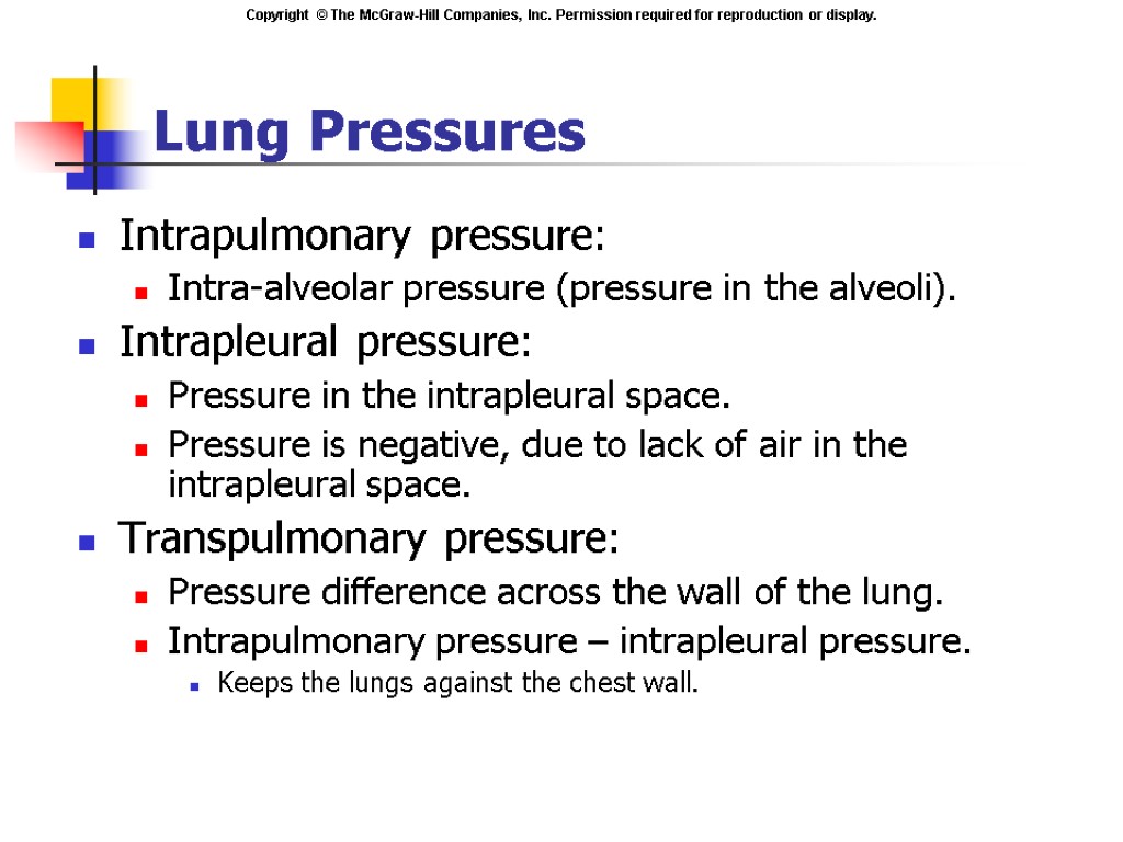 Lung Pressures Intrapulmonary pressure: Intra-alveolar pressure (pressure in the alveoli). Intrapleural pressure: Pressure in